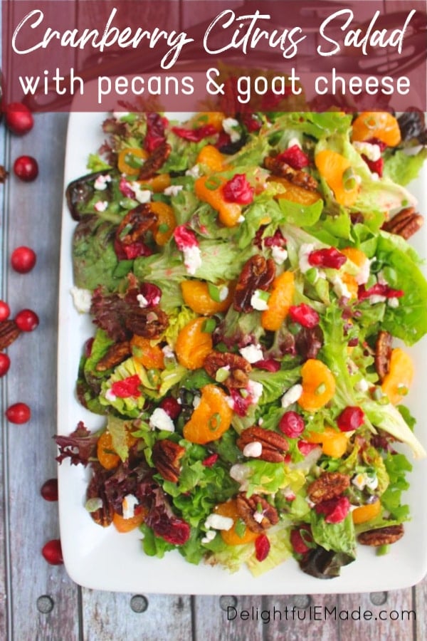 The perfect side dish for your holiday dinner, this Fresh Cranberry Salad recipe is flavorful and delicious!  Mandarin oranges, fresh cranberries, goat cheese crumbles and pecans make this Cranberry Citrus Salad incredible.