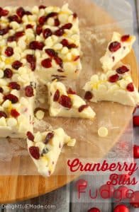 Cranberry Bliss Fudge - an amazing white chocolate fudge recipe!