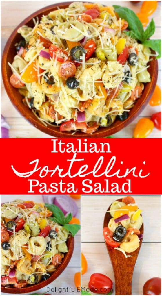 This EASY tortellini salad recipe is perfect for any pot-luck, picnic, cookout or backyard barbecue!  This delicious tortellini pasta salad is loaded with all of your Italian favorites, like salami, tomatoes, olives, banana peppers and more!  Topped with Italian dressing and shredded Parmesan cheese, this Italian pasta salad is amazing!