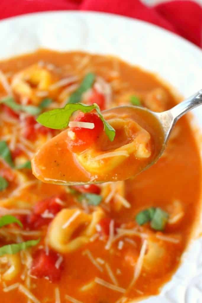 This fantastic tomato soup recipe has it all! Creamy, delicious tomatoes are simmered together with Parmesan cheese, tender tortellini and topped with fresh basil. This soup is a fantastic Christmas Eve dish or wonderful anytime you're looking to warm up on a cold night!
