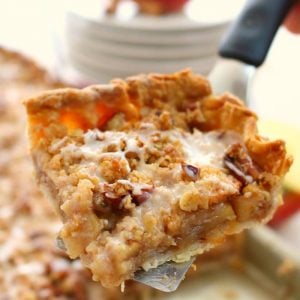 If you really love apple pie, especially with a fantastic cinnamon sugar crumble on top, then these Dutch Apple Pie Bars are for you! Made with some shortcuts, these apple pie bars are an easy option for a delicious apple dessert, a holiday dinner or even a pot-luck!