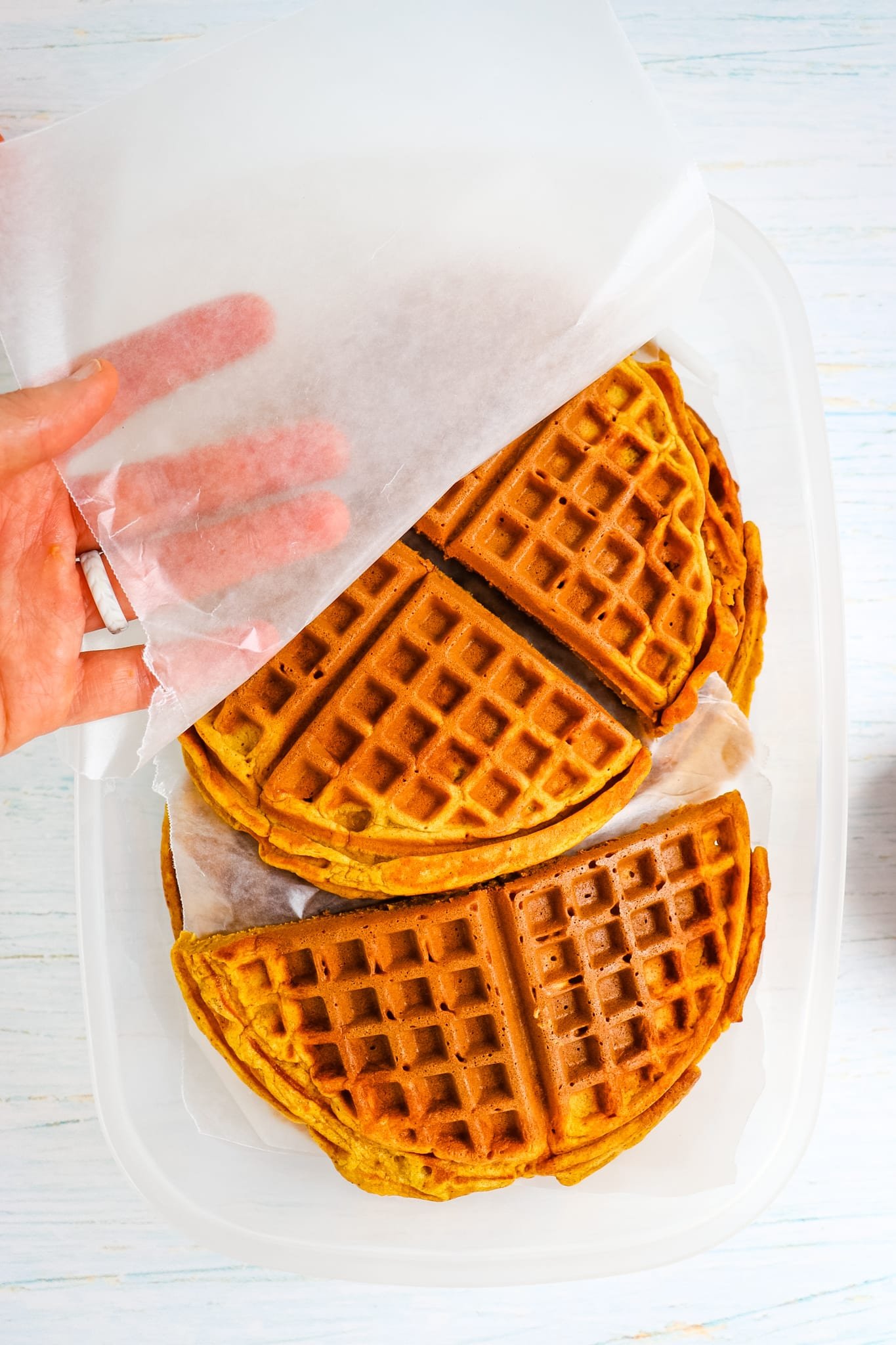 Pumpkin waffles in storage container being separated by sheet of waxed paper.