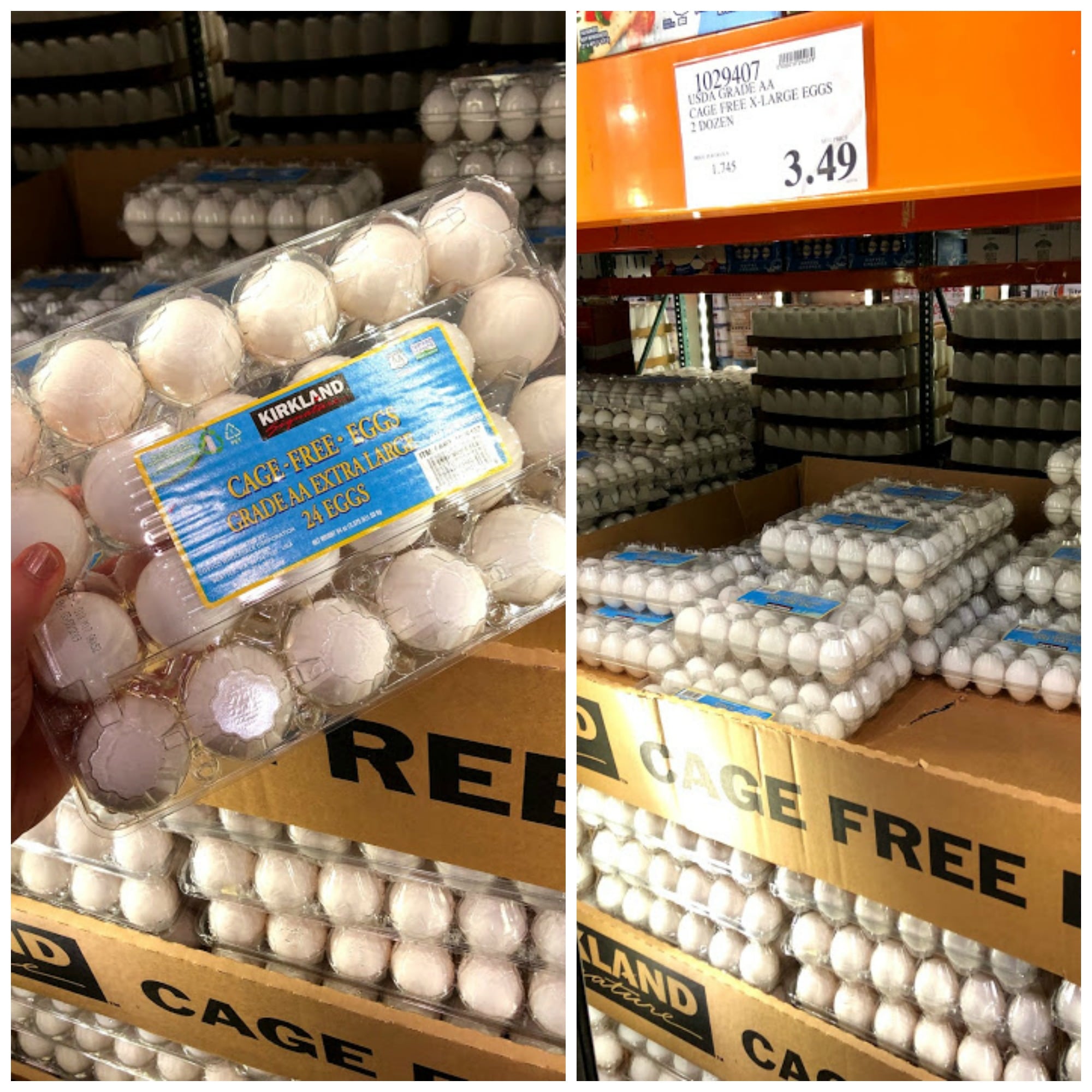 Costco egg clearance bbq