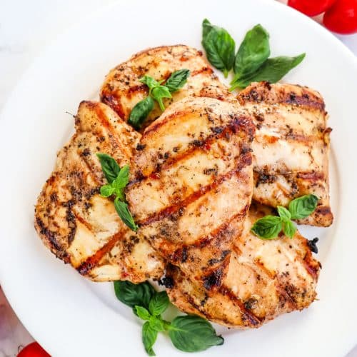 Italian grilled chicken breasts on a white plate garnished with fresh basil leaves and cherry tomatoes on the side.