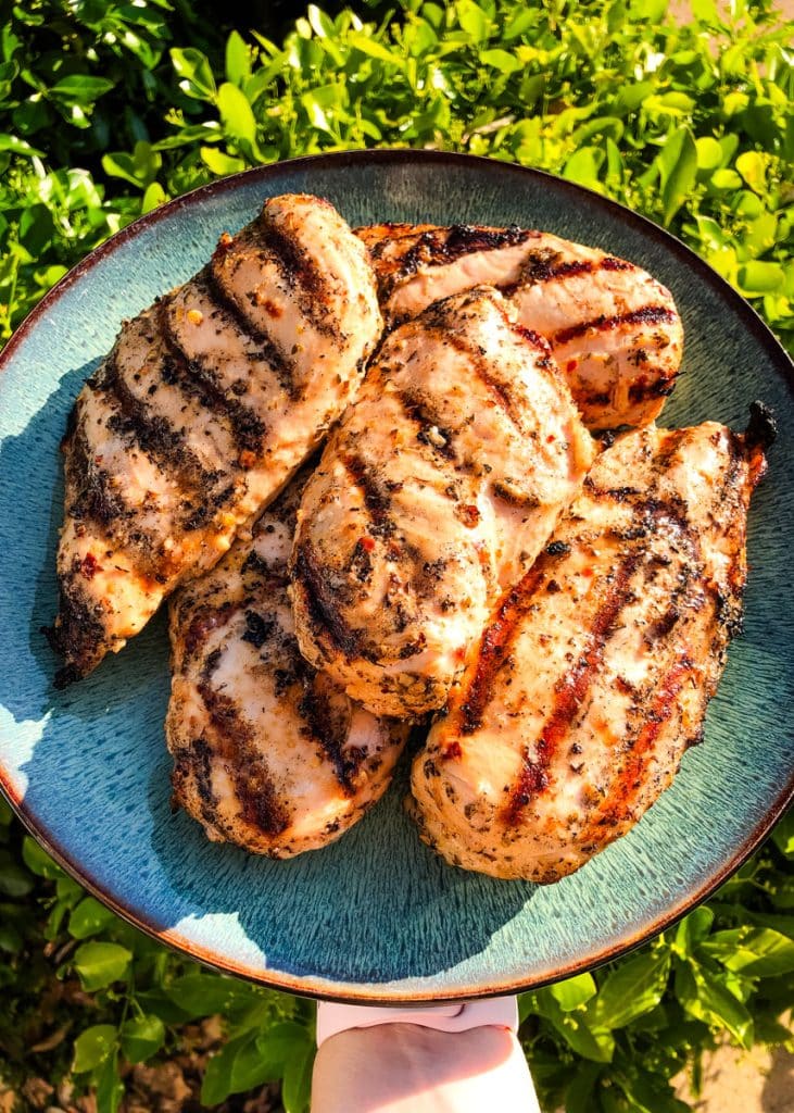 Italian grilled chicken breasts taken off the grill and on a plate.