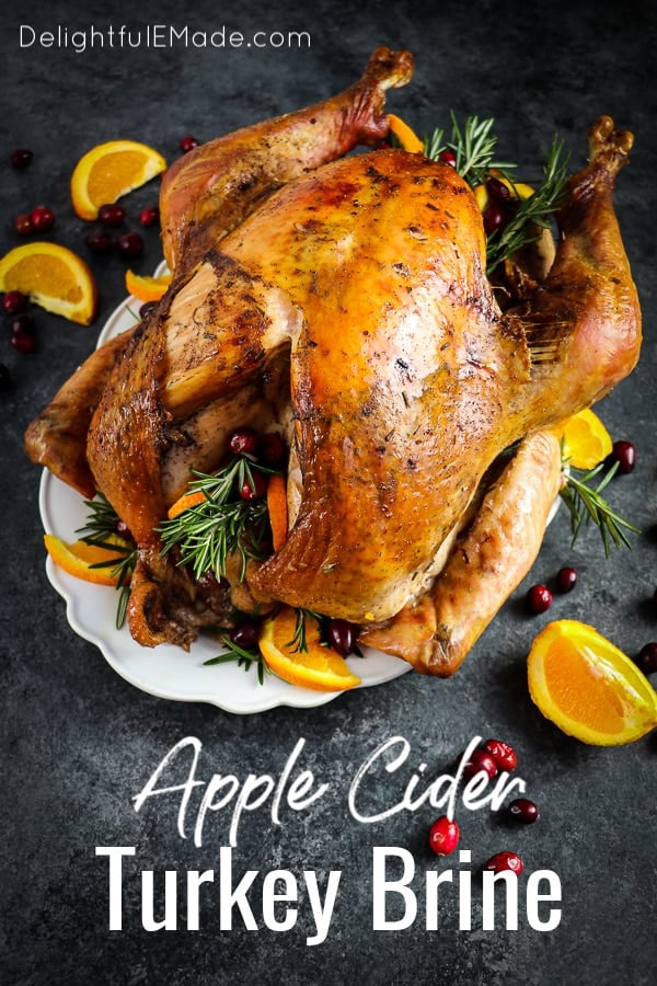 Apple Cider Turkey Brine (video) - Tatyanas Everyday Food