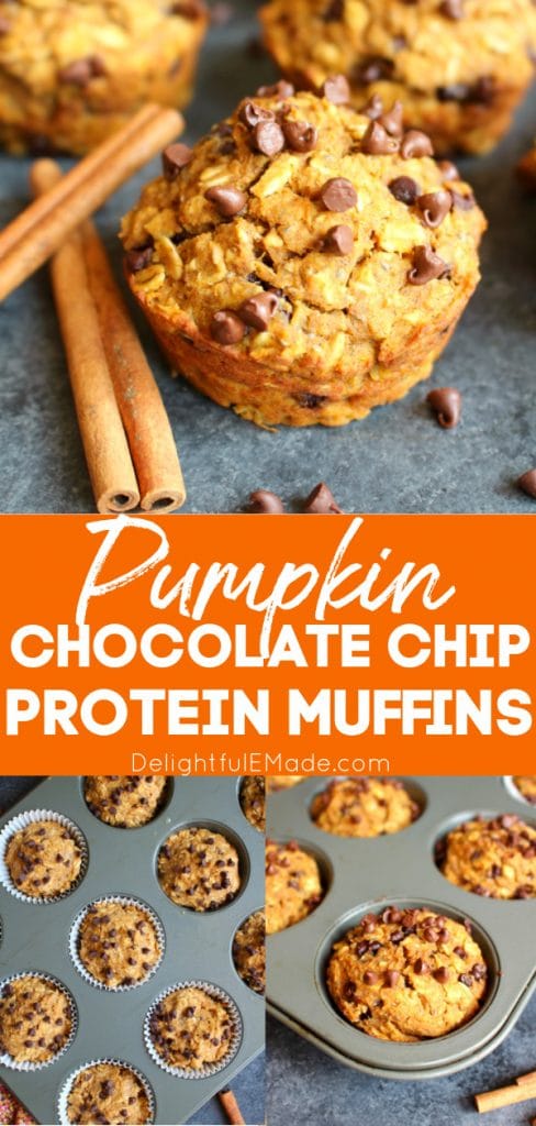 Pumpkin Chocolate Chip Protein Muffins, close up of muffins garnished with mini chocolate chips and cinnamon sticks.