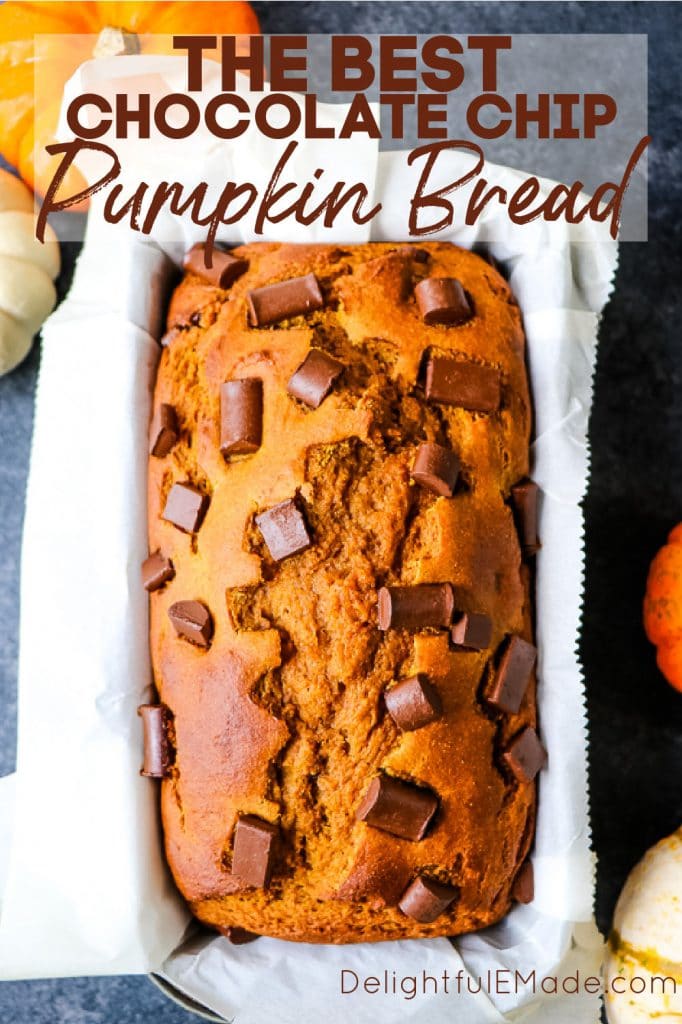 Single loaf of chocolate chip pumpkin bread in loaf pan.