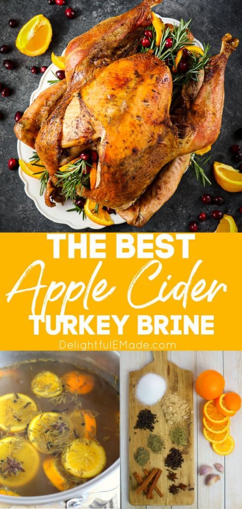 Apple Cider Turkey Brine - The BEST FLAVORFUL Turkey Brine Recipe!