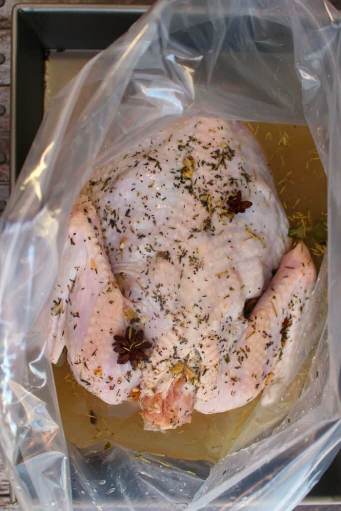 Apple Cider Turkey Brine in brining bag with thawed, uncooked turkey.