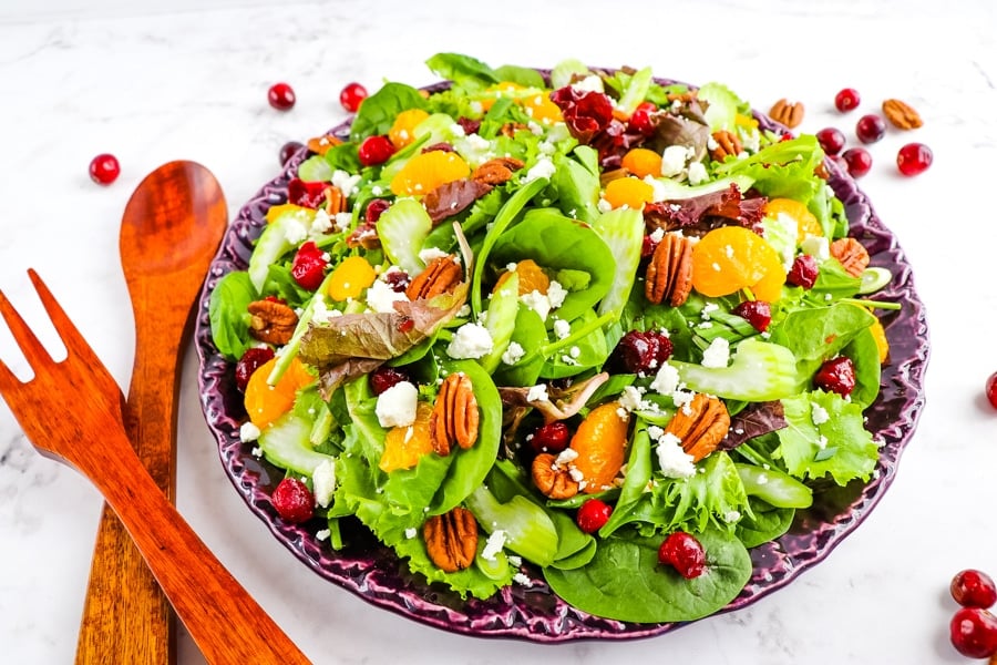 cranberry-salad-recipe-hz1