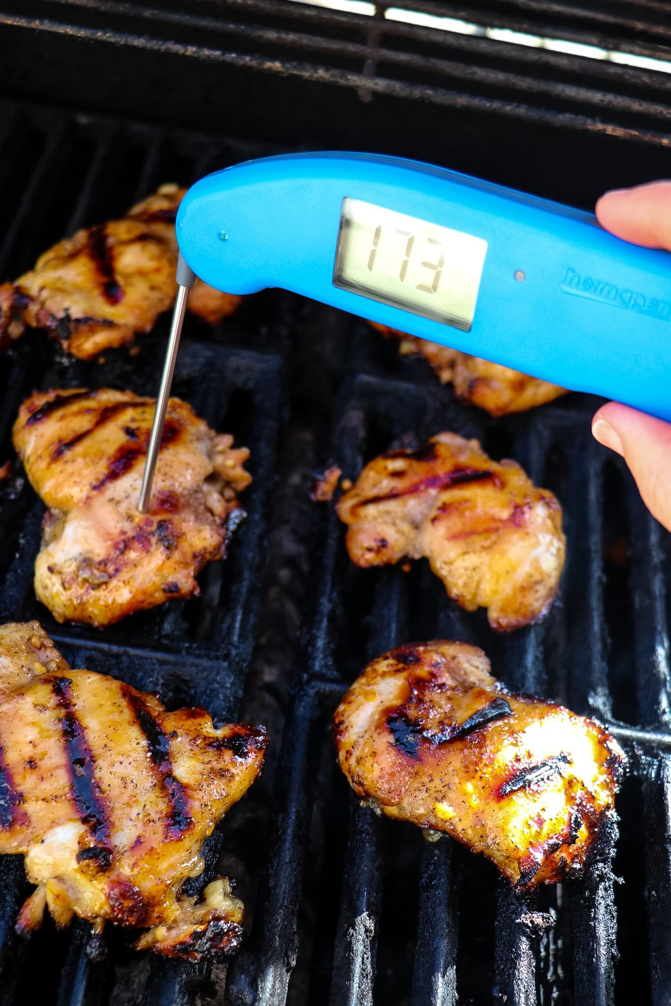 Digital thermometer taking temperature of boneless chicken thighs.
