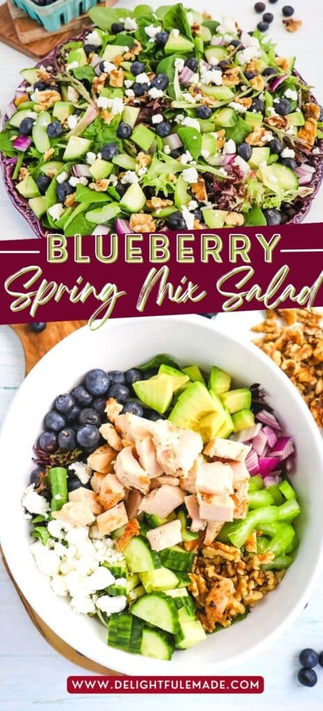 Platter of blueberry spring mix salad and single serving bowl with chicken in the center.