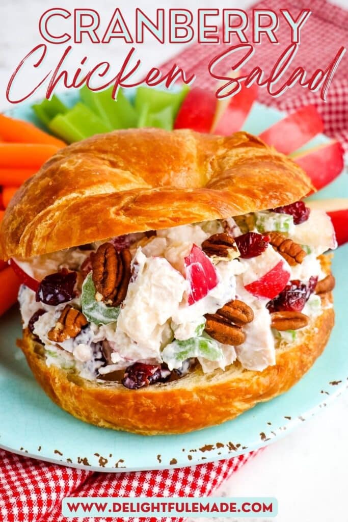 Croissant sandwich filled with cranberry chicken salad with apples, carrots and celery on the side.