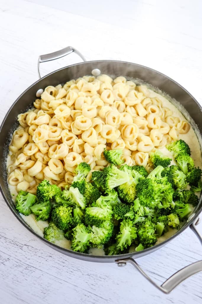 Alfredo sauce with fresh cooked tortellini and broccoli.