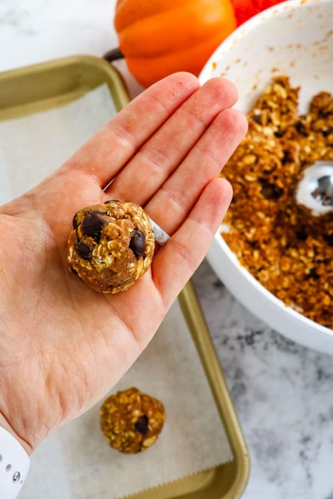 Pumpkin chocolate chip protein ball being rolled and formed in hands.