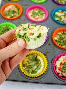 Starbucks egg white bite held in hand.