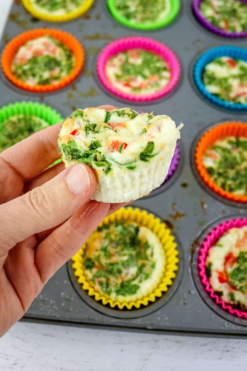 Starbucks egg white bite held in hand.