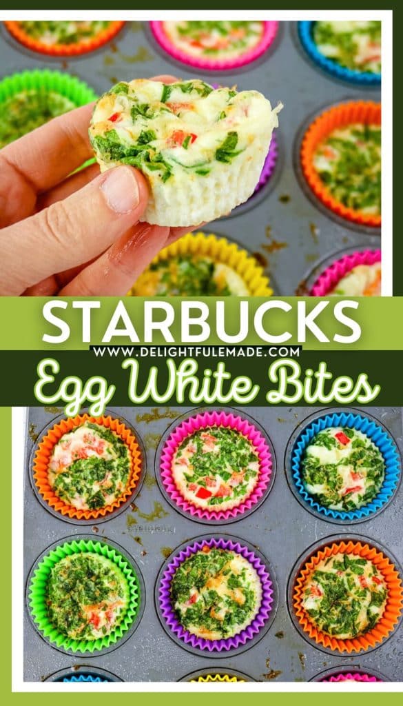 Starbucks egg white bites with spinach and red bell pepper.