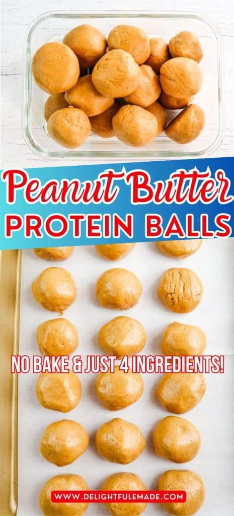 Peanut butter protein balls in a meal prep container and lined up on a cookie sheet.